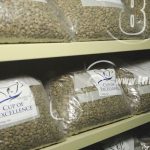 Madriz recepciona muestras de café del certamen taza de la excelencia nicaragua