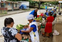 jalapa
