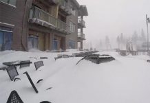 Madre e hijo mueren aplastados por la nieve en California olga perkovic