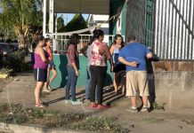 Violento ataque de perros pitbull deja una residencia atemorizada nicaragua
