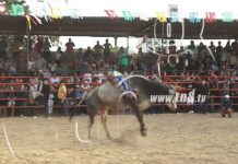 Nicaragua realiza alegres montas de toros en sus fiestas patronales nicaragua