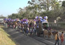 Carretas peregrinas salen de Masaya rumbo a Popoyuapa masaya