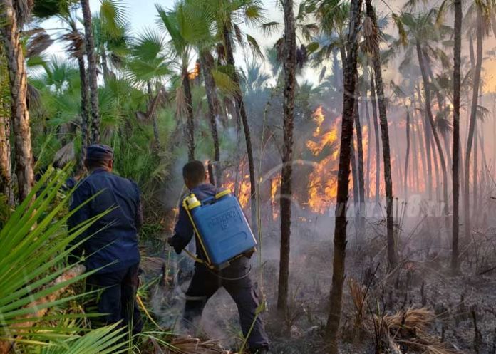 02_UPptxgm nicaragua