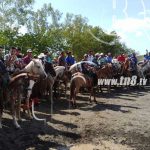 Carreras de cintas y tope de toros parte de las fiestas patronal nicaragua
