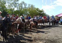 Carreras de cintas y tope de toros parte de las fiestas patronal nicaragua