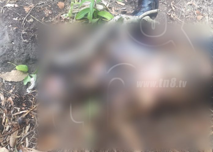 02_szV4DL1 nicaragua