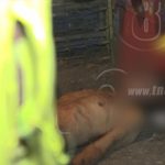 Anciano fue violado y asesinado por tomadores consuetudinarios nicaragua