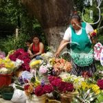 Dinámica Feria de las Flores en Ocotal nicaragua