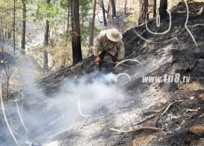 04_fSQ0VOp nicaragua