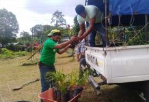Nueva Guinea: Jóvenes reforestan un parque en Nuevo León nicaragua