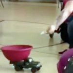 Inusual manera de recoger ofrenda con carrito a control remoto en Haiti costa rica