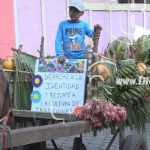 Diriá realiza colorido carnaval con productores nicaragua