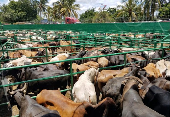 09df1ad7a7fb4010cbb8ff029cee34a0 nicaragua