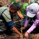 Los planes de conservación al medio ambiente no se detienen en Nicaragua nicaragua