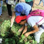 Actividad forestal dinamiza economía nicaragüense nicaragua