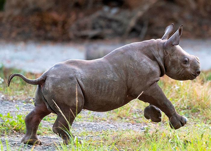 1.1_yvQsF8k estados unidos