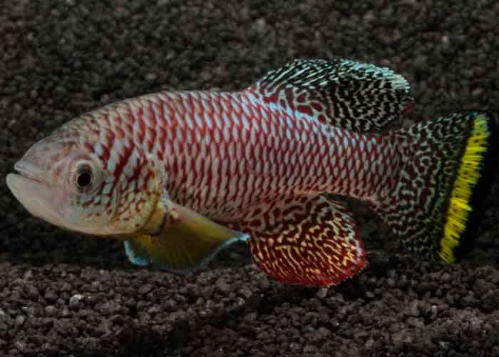 1.2_HxHPbj7 cientificos