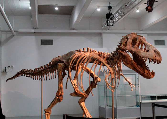 10.1_32h4Qso ciencia