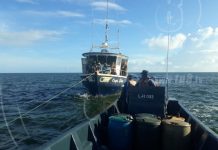Fuerza Naval rescata barco pesquero cerca de Cayos de Perla