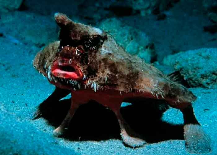 10.1_asxBZBP ciencia