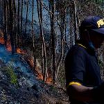 Extinguen incendio forestal cercano a zona arqueológica de Cusco en Perú zonas afectadas