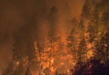 El oeste de EEUU devastado por ola de calor récord e incendios masivos