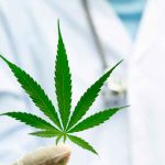 Nuevo uso medicinal de cannabis que podría prevenir el cáncer de colon estudio