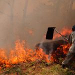 Reportan más de 34 mil hectáreas de bosque quemadas en Honduras honduras