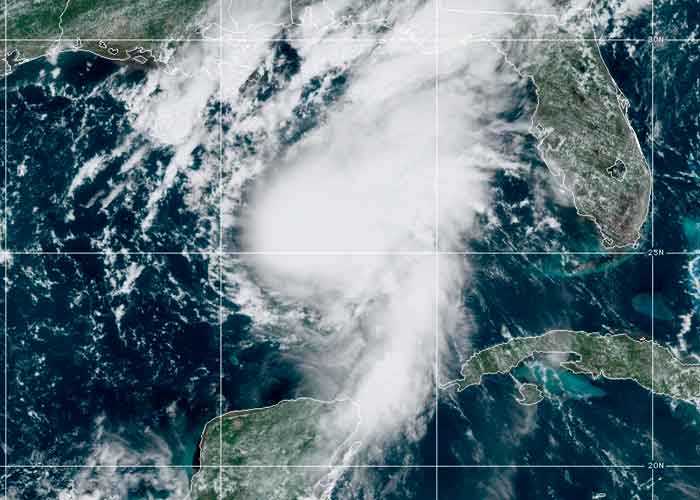 11_hL5fpLN categoria 1