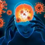 El SARS-CoV-2 podría entrar en el cerebro a través de la nariz mundo