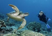 Solo el 13 % del agua de los oceános permanece virgen