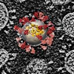 Nuevo estudio científico presenta imágenes detalladas del SARS-CoV-2 salud