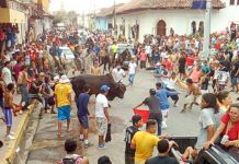 Granadinos participan en tradicional tope de toros tope de toros