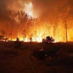 150 incendios forestales continúan activos en el este de Australia australia
