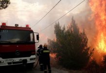 Se eleva a 88 el número de muertos a causa de los incendios en Grecia muertos