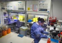Concluyen con éxito pruebas en humanos de una nueva vacuna contra el sida estudio cientifico