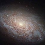 Astrónomos resuelven el misterio de una galaxia despojada de materia oscura ciencia