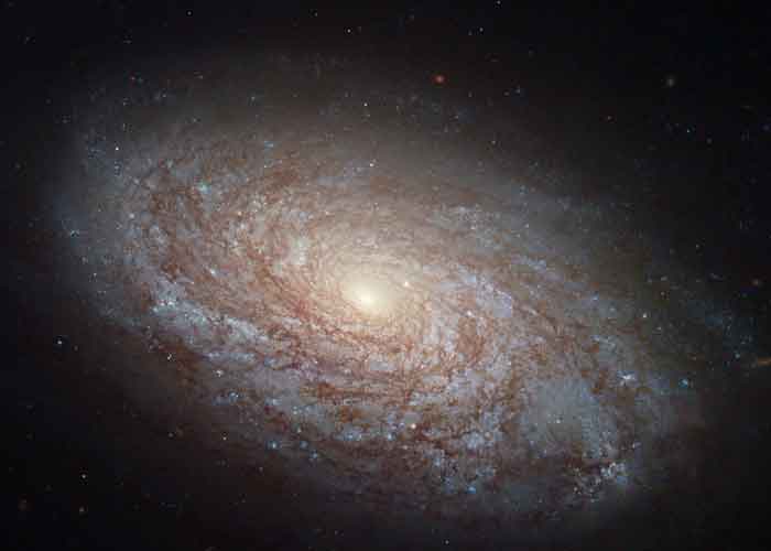 18.1_vOPkA8Y ciencia