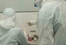 Desarrollan un chip que detecta tumores en las primeras etapas del cáncer