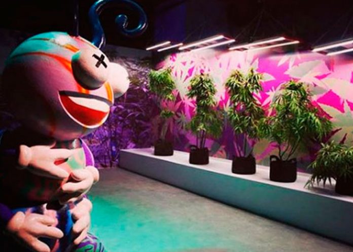 19_BSs6Vii primer museo interactivo de marihuana mundo