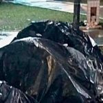 Bajas temperaturas en Sao Paulo dejan seis personas fallecidas brasil