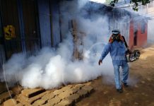 Nicaragua toma todas las medidas para la prevención del dengue nicaragua