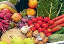 Conoce los mitos y realidades sobre el veganismo vegano