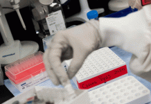 Científicos rusos se inyectan vacuna contra el coronavirus y revelan resultados ciencia