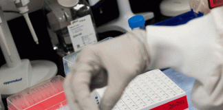 ciencia