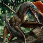 Identifican una nueva especie de pterosaurio del Jurásico en China china