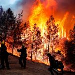 Sube a 23 la cifra de muertos por los devastadores incendios en California v23 la cifra de muertos