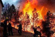 Sube a 23 la cifra de muertos por los devastadores incendios en California v23 la cifra de muertos