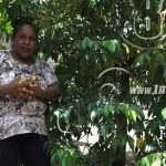 Waspam: Mujer emprendedora aprovecha el patio de su casa nicaragua