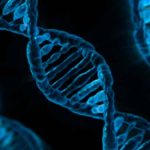 Científicos descubren nuevos genes vinculados al autismo, según estudio ciencia